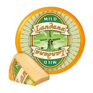 GOUDA PEYNİRİ 11650 GR.
