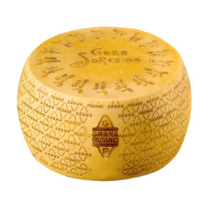 TEKERLEK PARMESAN 18 AYLIK BLOK KESİLMİŞ